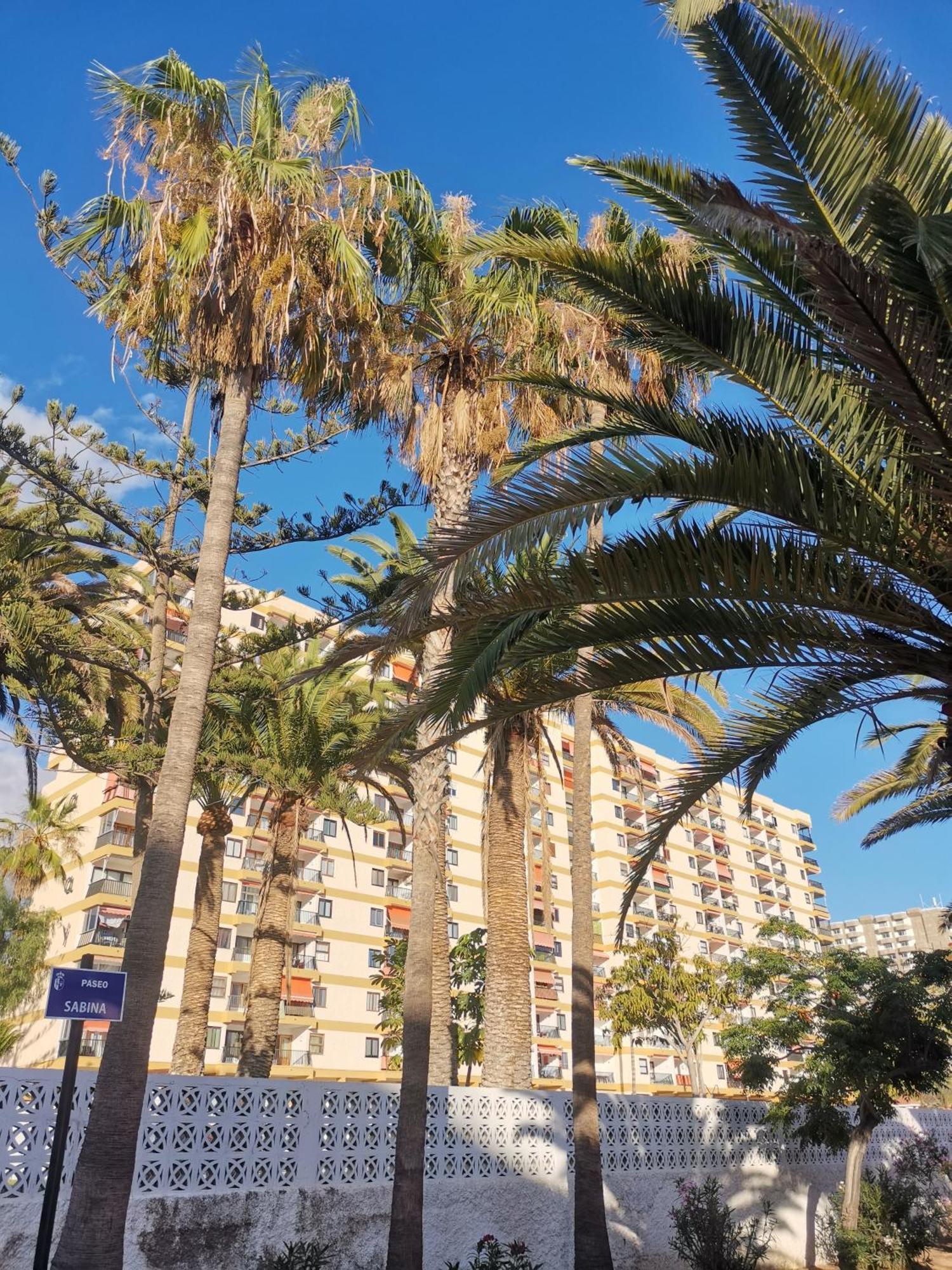 Los Cristianos Achacay Appartement Standing Vue Panoramique Екстер'єр фото